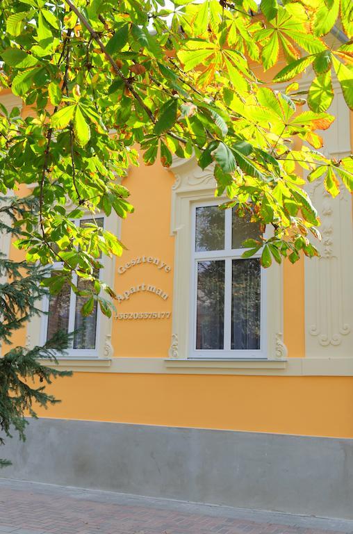Gesztenye Apartman Мако Экстерьер фото